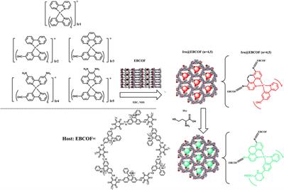Phosphorescent iridium (III) complex with covalent organic frameworks as scaffolds for highly selective and sensitive detection of homocysteine